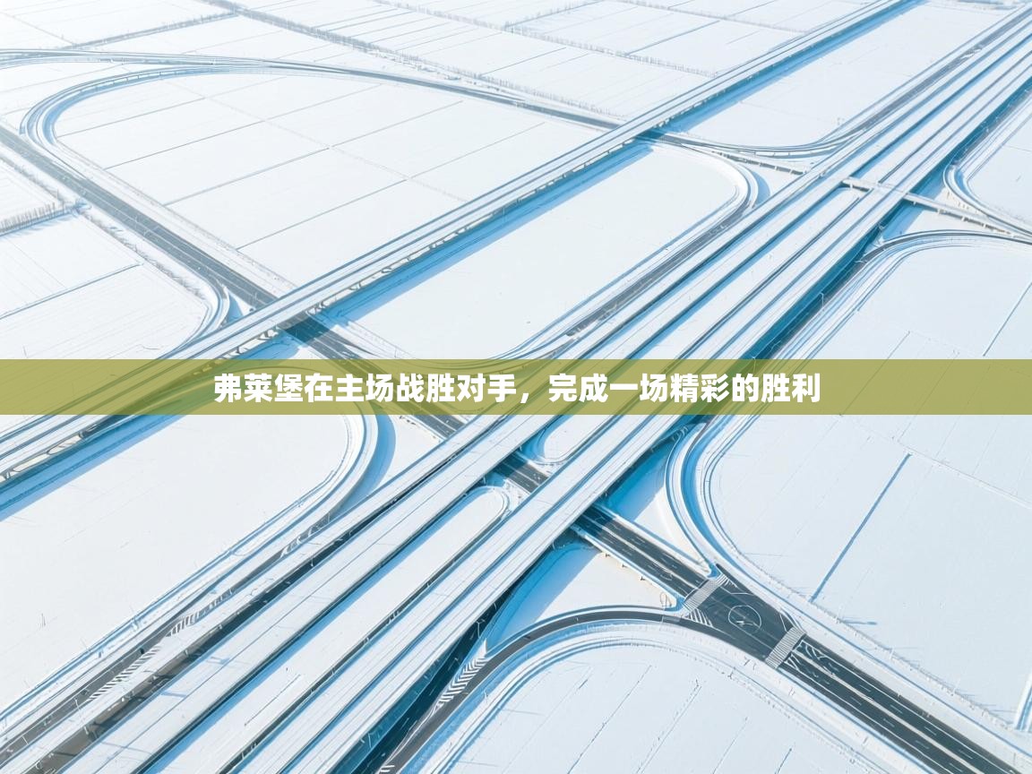 弗莱堡在主场战胜对手，完成一场精彩的胜利  第1张