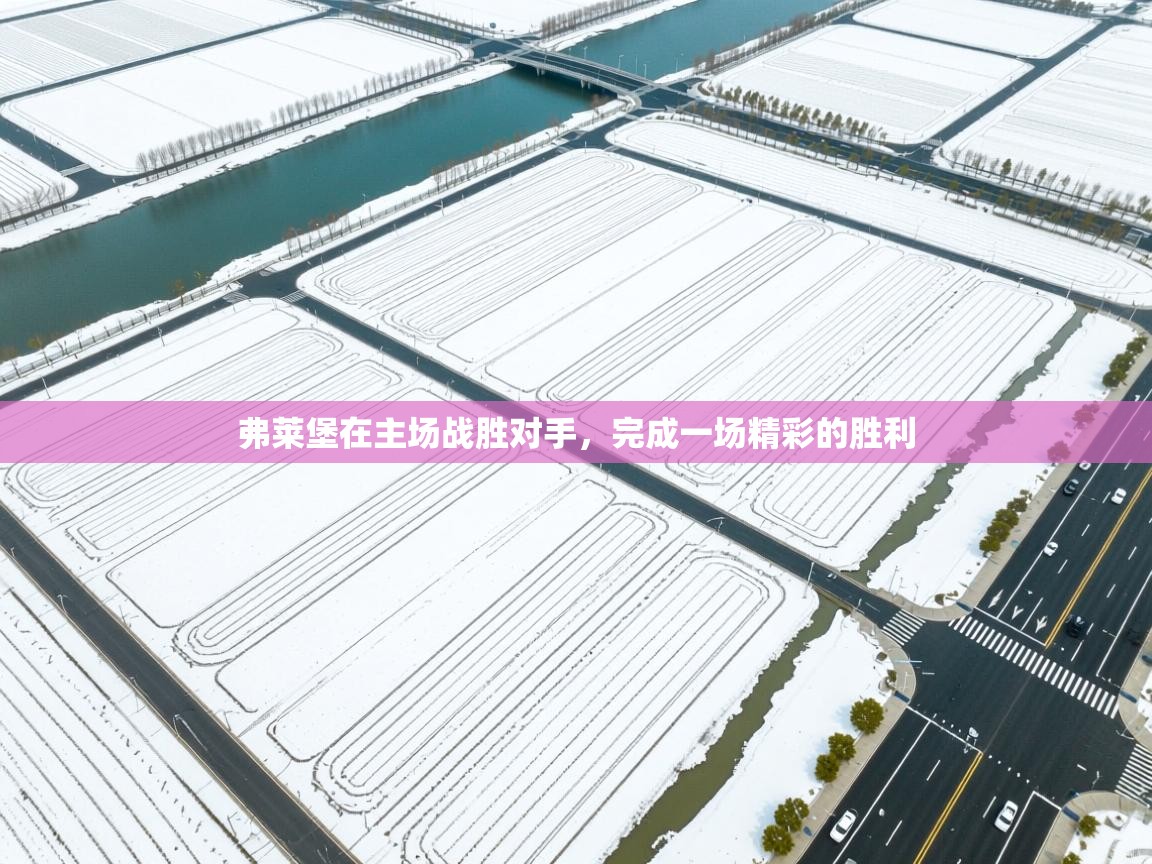 弗莱堡在主场战胜对手，完成一场精彩的胜利  第2张